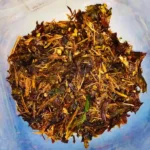 Changa DMT