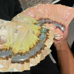 .Canadian Dollar Fake Notes