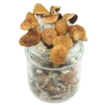 Flying Saucer Magic Mushrooms
